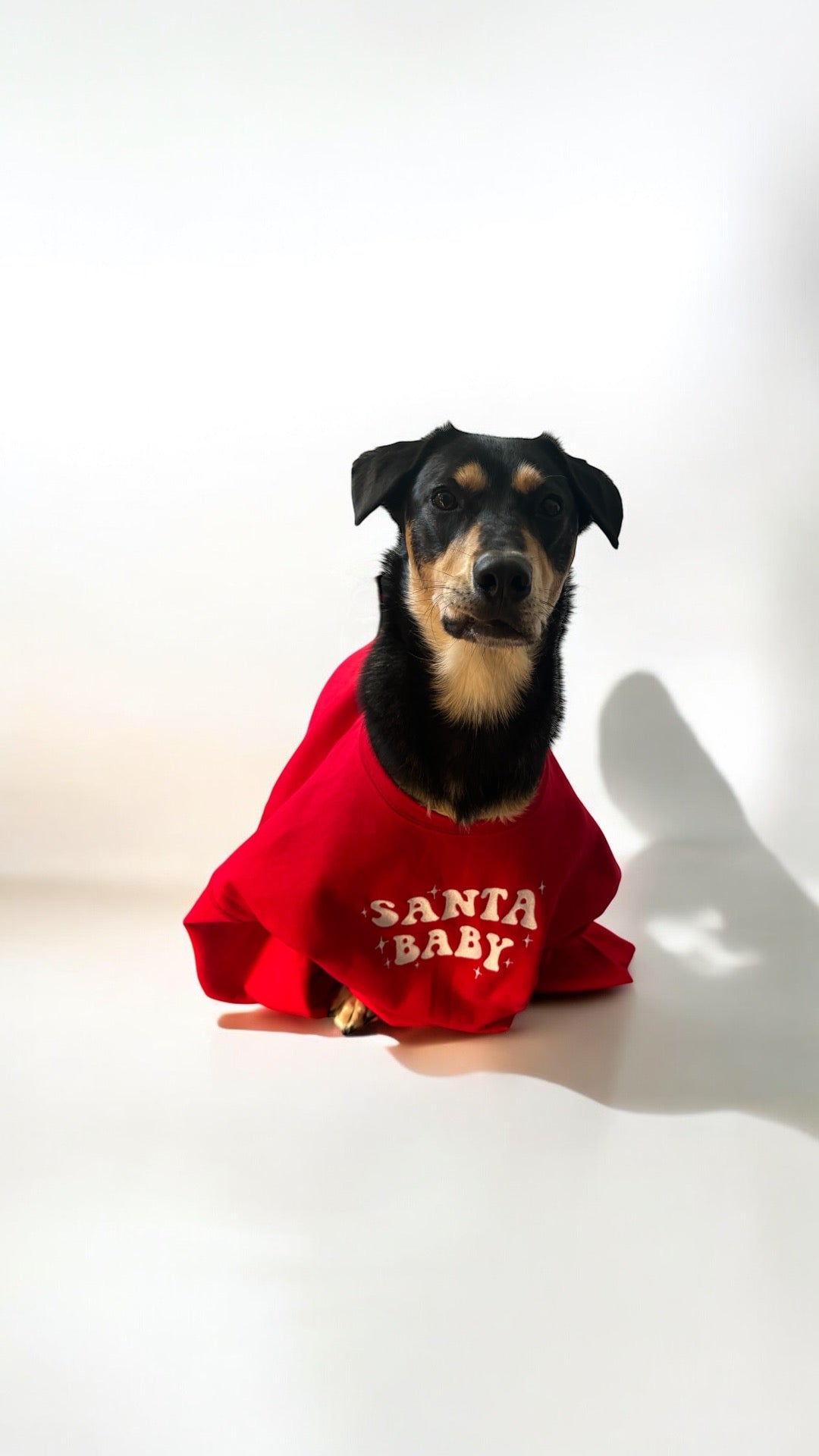 SANTA BABY